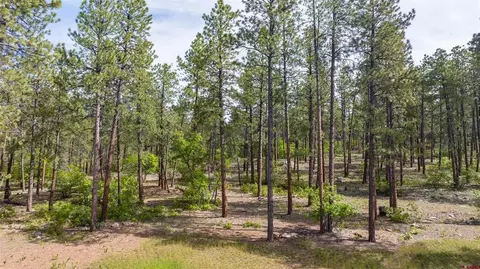 1132 Red Canyon Trl, Durango, CO 81301