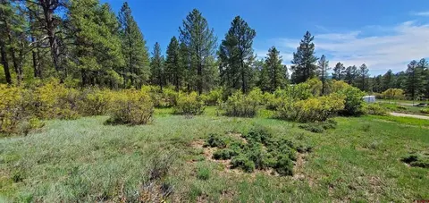 778 Oak Dr, Pagosa Springs, CO 81147