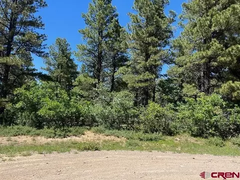 175 Caleta Pl, Pagosa Springs, CO 81147