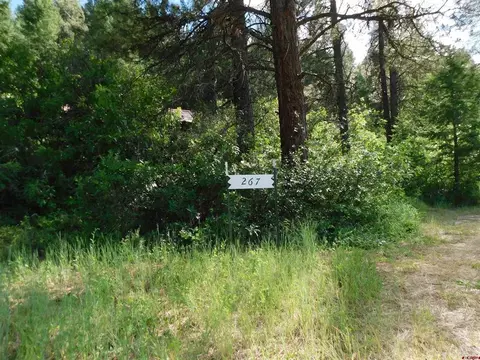 267 Pineridge Trl, Pagosa Springs, CO 81147
