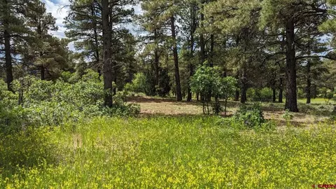 44 Yeoman Dr, Pagosa Springs, CO 81147