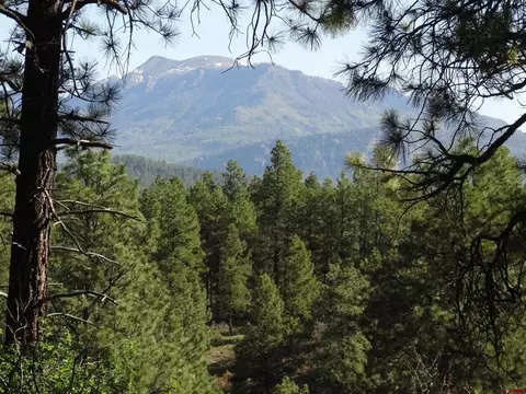 236 W Log Hill Dr, Pagosa Springs, CO 81147