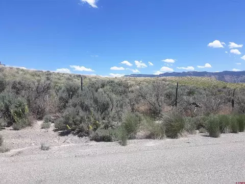 Lot 5 Road 21, Cortez, CO 81321