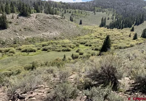 Tbd Sandy Road, Powderhorn, CO 81243