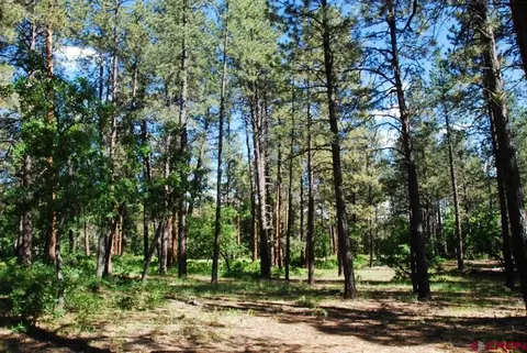 4081 Terry Robinson Rd, Pagosa Springs, CO 81147
