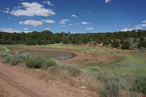 Tract 3 County Road 8k, Egnar, CO 81325