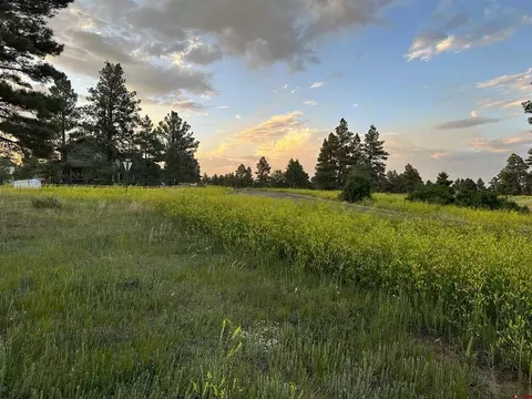 304 Domicile Cir, Pagosa Springs, CO 81147