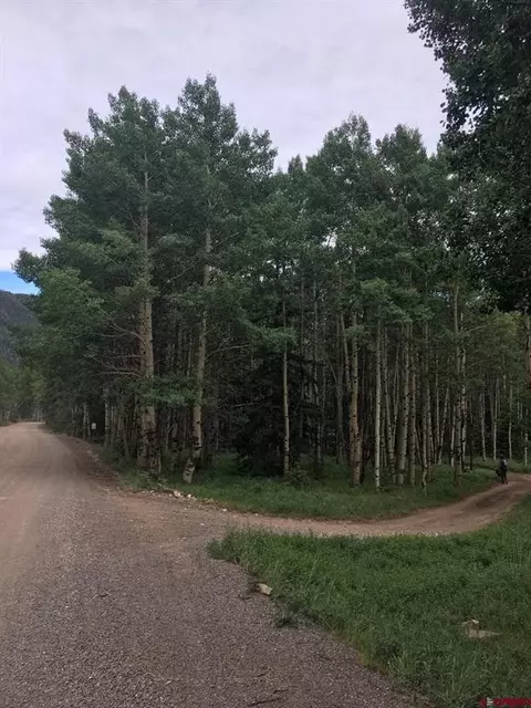 914 Alamosa Ave, Jasper, CO 81144