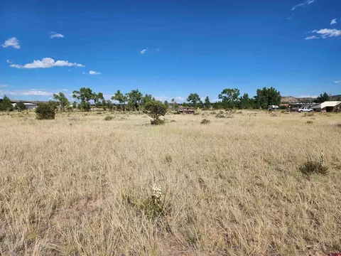 1275 Mohee Rd, South Fork, CO 81154 photo 2