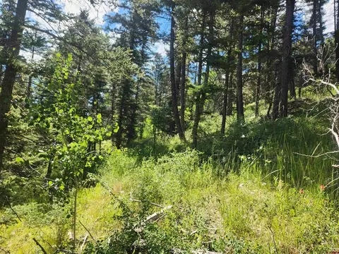 1805 Clarke Mountain Ln, Antonito, CO 81120