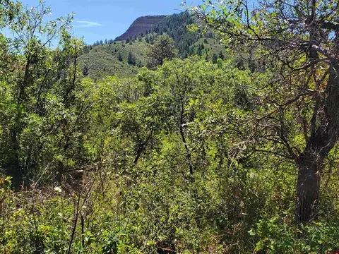 476 Blue Jay Cir, Pagosa Springs, CO 81147