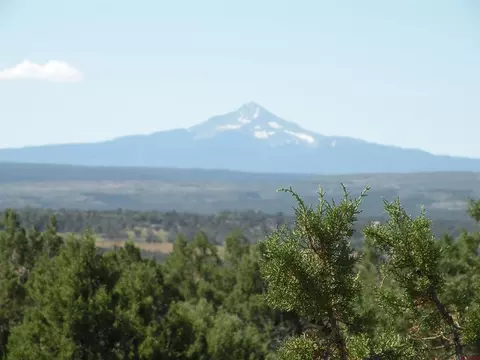 Tbd Mailbox, Redvale, CO 81431