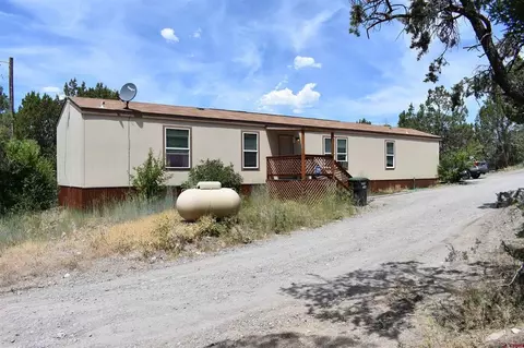 318 Winding Trl, Ridgway, CO 81432