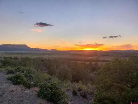 7674 Road 403, Mancos, CO 81328