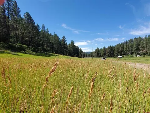845 Raccoon Dr, Pagosa Springs, CO 81147