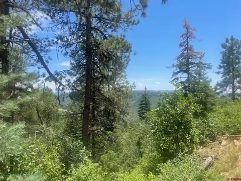 121 Pine Way Drive, Bayfield, CO 81122