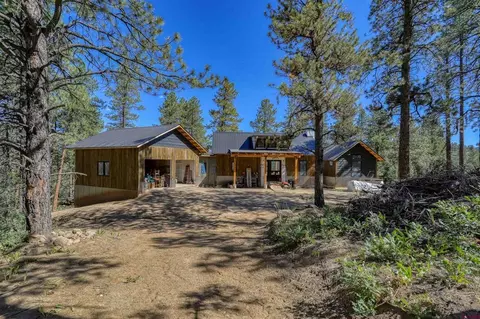 246 E Log Hill Rd, Pagosa Springs, CO 81147