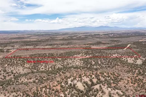 Lots 7 And 8 County Road 136, Hesperus, CO 81326
