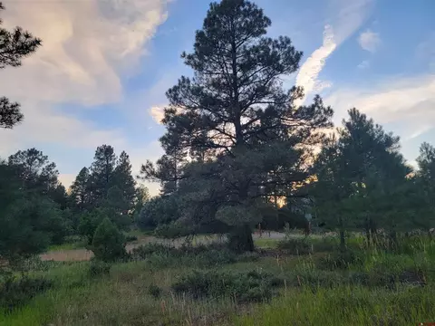 241 Trapper Dr, Pagosa Springs, CO 81147