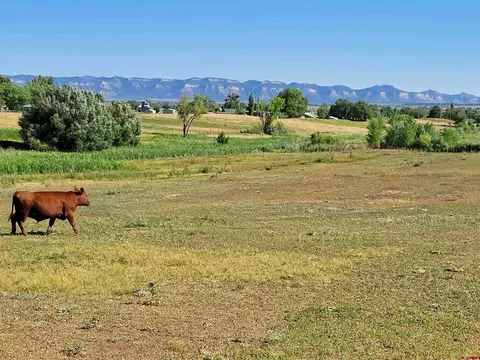 lot1 Road 22, Cortez, CO 81321