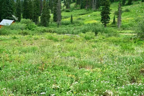 9 Th 10th St, Crested Butte, CO 81224