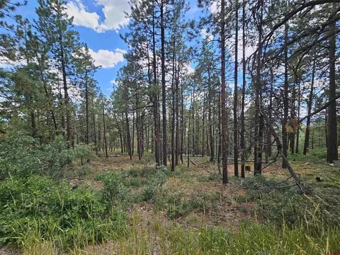 324 Hilltop Dr, Bayfield, CO 81122