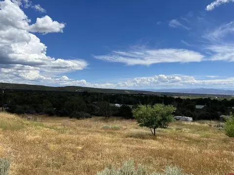 20567 Highway 65, Cedaredge, CO 81413