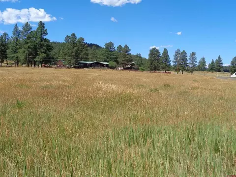 406 River Forest Dr, Pagosa Springs, CO 81147