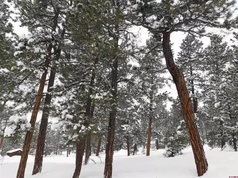 46 Gala Pl, Pagosa Springs, CO 81147