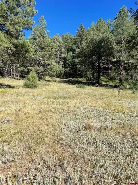 lot110 Ll Winterwood, Pagosa Springs, CO 81147