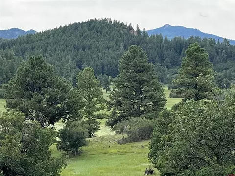 1240 Crowley Dr, Chromo, CO 81128