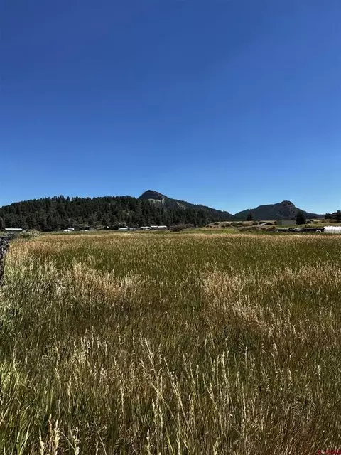70 Mervin Ct, Pagosa Springs, CO 81147