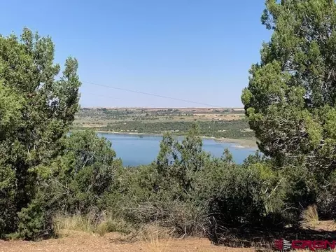 Lot 41 Road V.4, Dolores, CO 81323