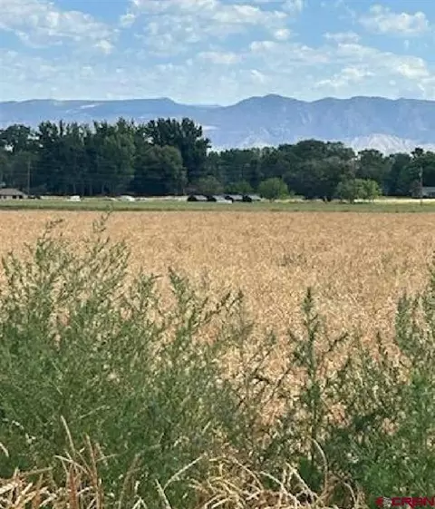 Lot 3 Night Horse Court, Montrose, CO 81403