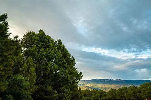 31 Cedar Ln W, Ridgway, CO 81432