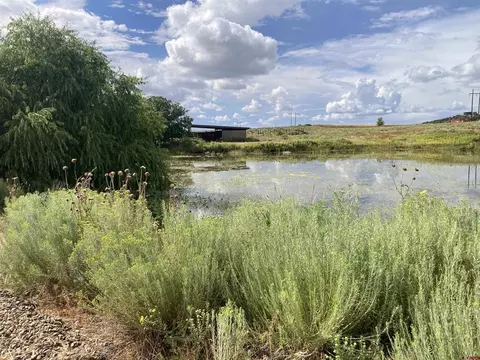 Tbd Road S.2, Dolores, CO 81323