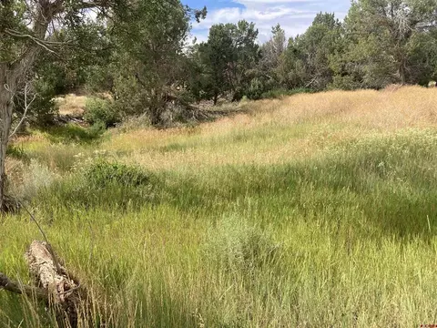 Tbd Road S.2, Dolores, CO 81323