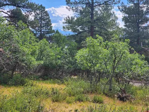 99 Pony Pl, Pagosa Springs, CO 81147