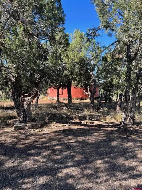 409 Alkali Gulch Rd, Hesperus, CO 81326