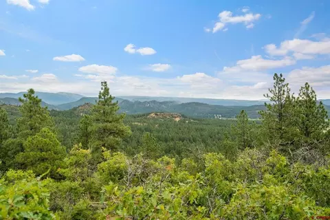 1586 Bald Eagle Dr, Bayfield, CO 81122