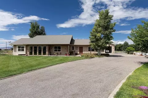 3176 Ridge Rd, Delta, CO 81416