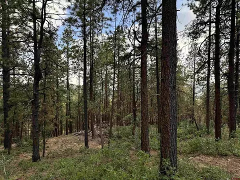 319 Hillside Cir, Bayfield, CO 81122