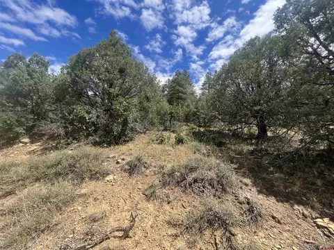 336 Rock Point Pl, Pagosa Springs, CO 81147