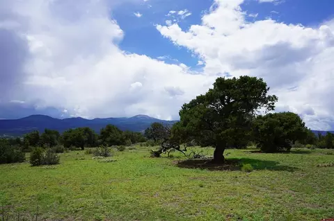 281 E Pfieffer Loop, South Fork, CO 81154