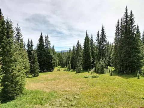 Tbd County Road 864a, Cimarron, CO 81230