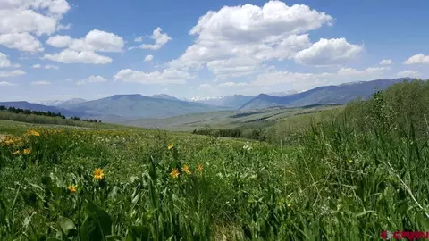 Tbd County Road 743, Almont, CO 81210