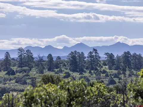 Lot 9 Lone Cone Road, Norwood, CO 81423