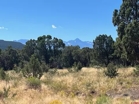 Tract 2 Cactus Drive, Montrose, CO 81403