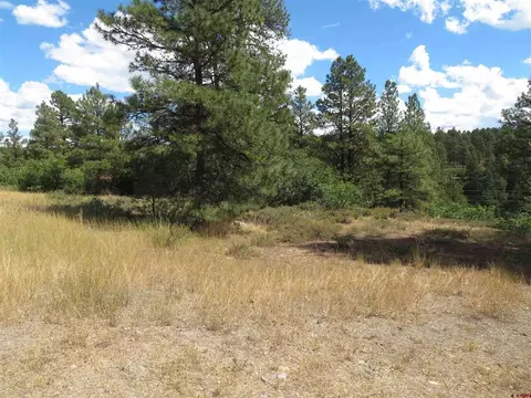 Undisclosed, Pagosa Springs, CO 81147