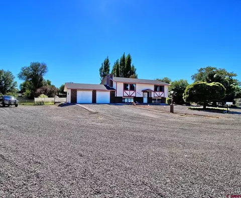 580 Willow Wood Ln, Delta, CO 81416